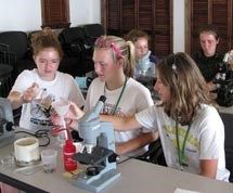 Tardigrade laboratory at Purchase Knob