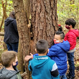 Student hugging a tree while classmates watch