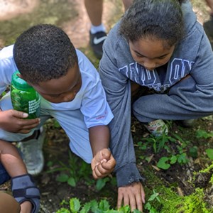 Students looking at plants on hike, 2021