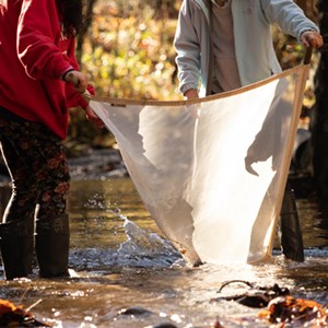 Students looking for stream macroinvertebrates