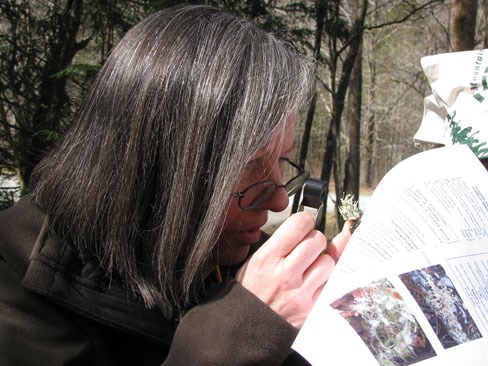 teacher studying lichens in the Smokies. teacher studying lichens in the Smokies.