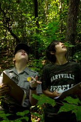 A park ranger and student monitor tree phenology.