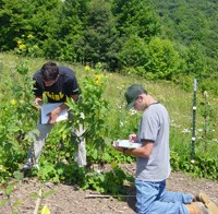 ozone biomonitoring garden