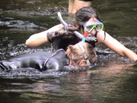 snorkeling for hellbenders