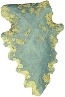 A 9,000 year old atlatl point. A 9,000 year old atlatl point.