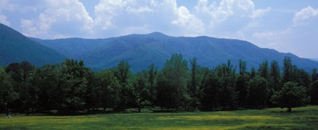 Cades Cove Valley