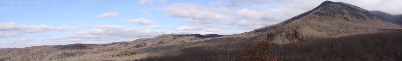 View of burned areas from Carlos Campbell Overlook