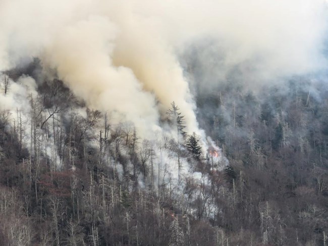 Chimney Tops 2 Fire