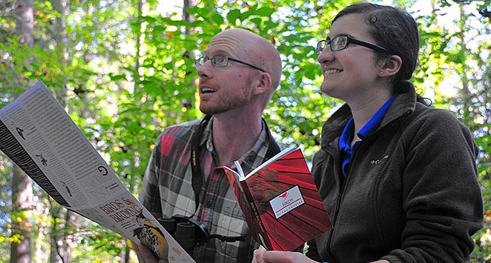 A man and woman using a guidebook to identify birds in the forest.