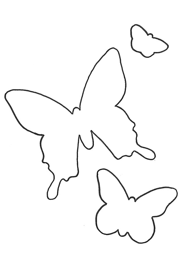 Outlines of butterflies.