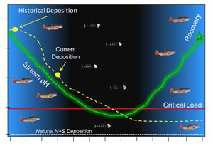 Timeline of acid deposition.