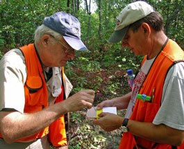 Researchers Bill MacDonald and Mark Double collect chestnut bark and blight samples.
