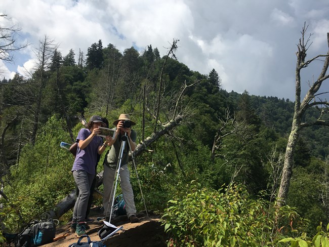 Three field technicians capture a repeat photo within the 2016 Chimney Tops 2 fire footprint.