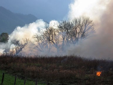 Fire in Cades Cove.