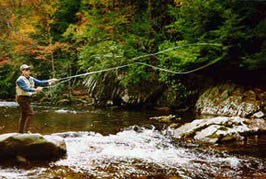 Man fly fishing in river in park