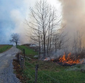 Prescribed fire in Cades Cove.