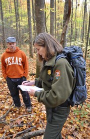 Volunteers help scout replanting locations for ginseng.
