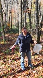 Volunteers replant ginseng roots.