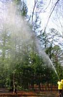 NPS Foresters spray hemlocks near roads and campgrounds.