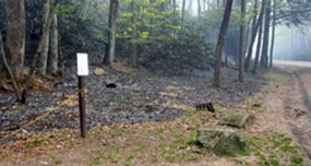 An unplanned wildfire that spread near Laurel Falls.
