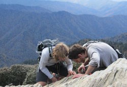 Dr Tripp and Dr Lendemer examining lichens on Mt LeConte, GRSM