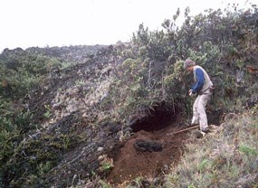 A scientist in Hawaii also studies fire and volcano history from soil carbon. A scientist in Hawaii also studies fire and volcano history from soil carbon.