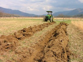 Plowing rows for native grass seed planting, Cades Cove