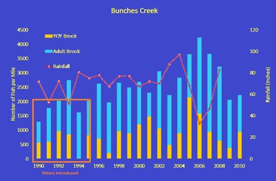 A graph displaying the effects of the amount of rain on the number of brook trout