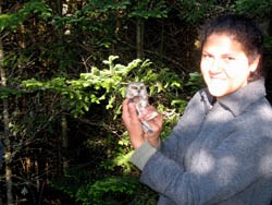 Park Flight intern with Saw whet owl.