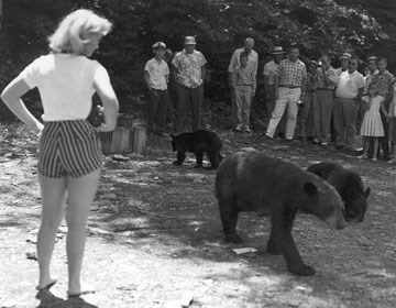 Visitors too close to bear.