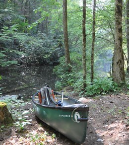 Campsites and shores are common places to find invasive earthworms.