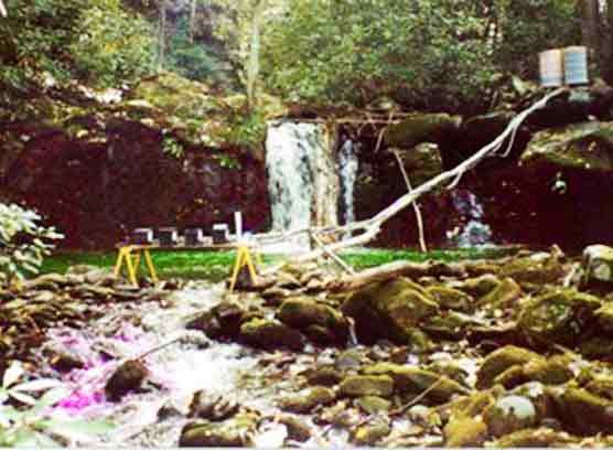 A photograph taken of an operating detoxification station during a chemical fish removal project. 