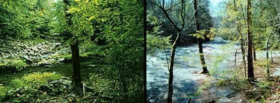 A composite of 2 photos showing the same area of a stream in Great Smoky Mountains National Park. One photo was taken during a drought year (left) and the other photo during a flood year (right).