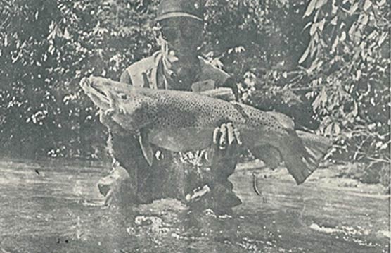 A photograph of fisherman Kent Williamson. Kent is holding his record brown trout. A photograph of fisherman Kent Williamson. Kent is holding his record brown trout.