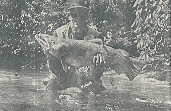 A photograph of fisherman Kent Williamson.  Kent is holding his record brown trout.