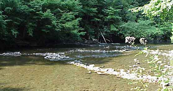 A photograph of a human built check dam on Abrams Creek in Great Smoky Mountains National Park.