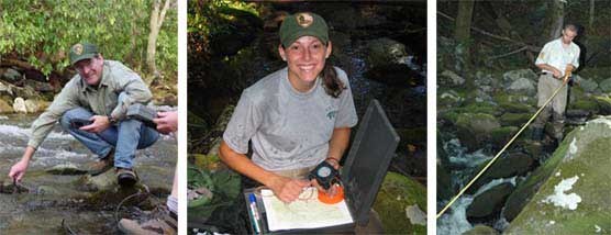 A composite of three photos showing National Park Service volunteers, technicians, and student interns working in the fisheries field. A composite of three photos showing National Park Service volunteers, technicians, and student interns working in the fisheries field.