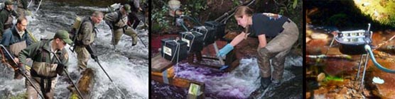 A composite of three photographs showing fisheries staff participating in different fisheries management practices. A composite of three photographs showing fisheries staff participating in different fisheries management practices.