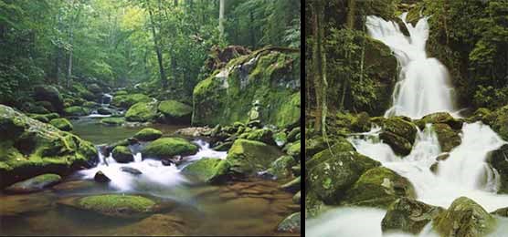A composite of two photographs showing a clear park stream (left) and a beautiful waterfall (right). A composite of two photographs showing a clear park stream (left) and a beautiful waterfall (right).