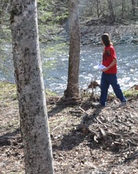A student citizen scientist scans a riverbank for ash trees.