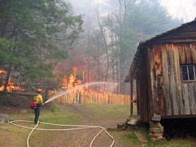 Controlled fire in Cades Cove.