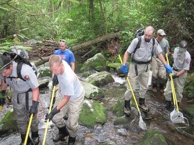 A crew of biologists uses electrofishing to sample fish.