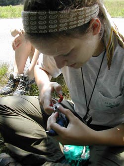 High School Intern Banding Bird