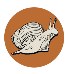 Mollusk