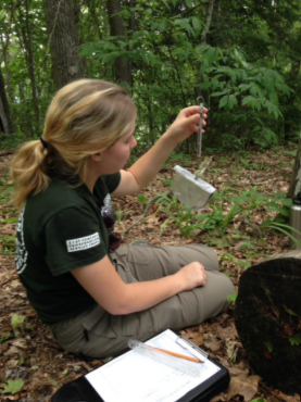 Volunteer weighs a Salamander