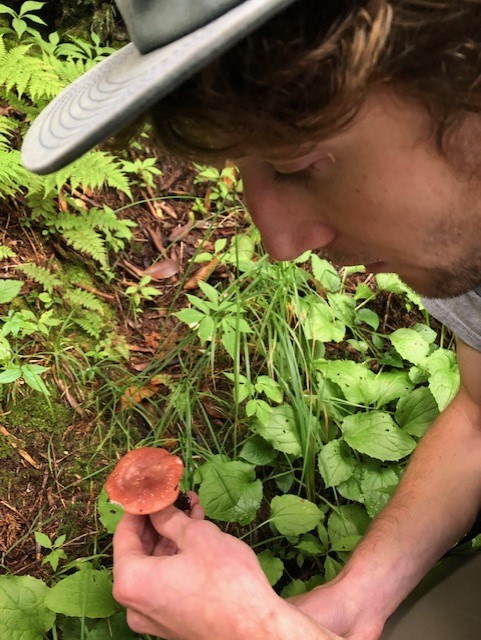 Chance Noffsinger and Russula Fungi