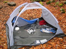 Tent after bear ripped it open searching for food.