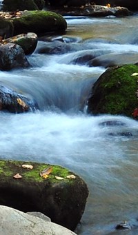 water cascading over and around river rocks