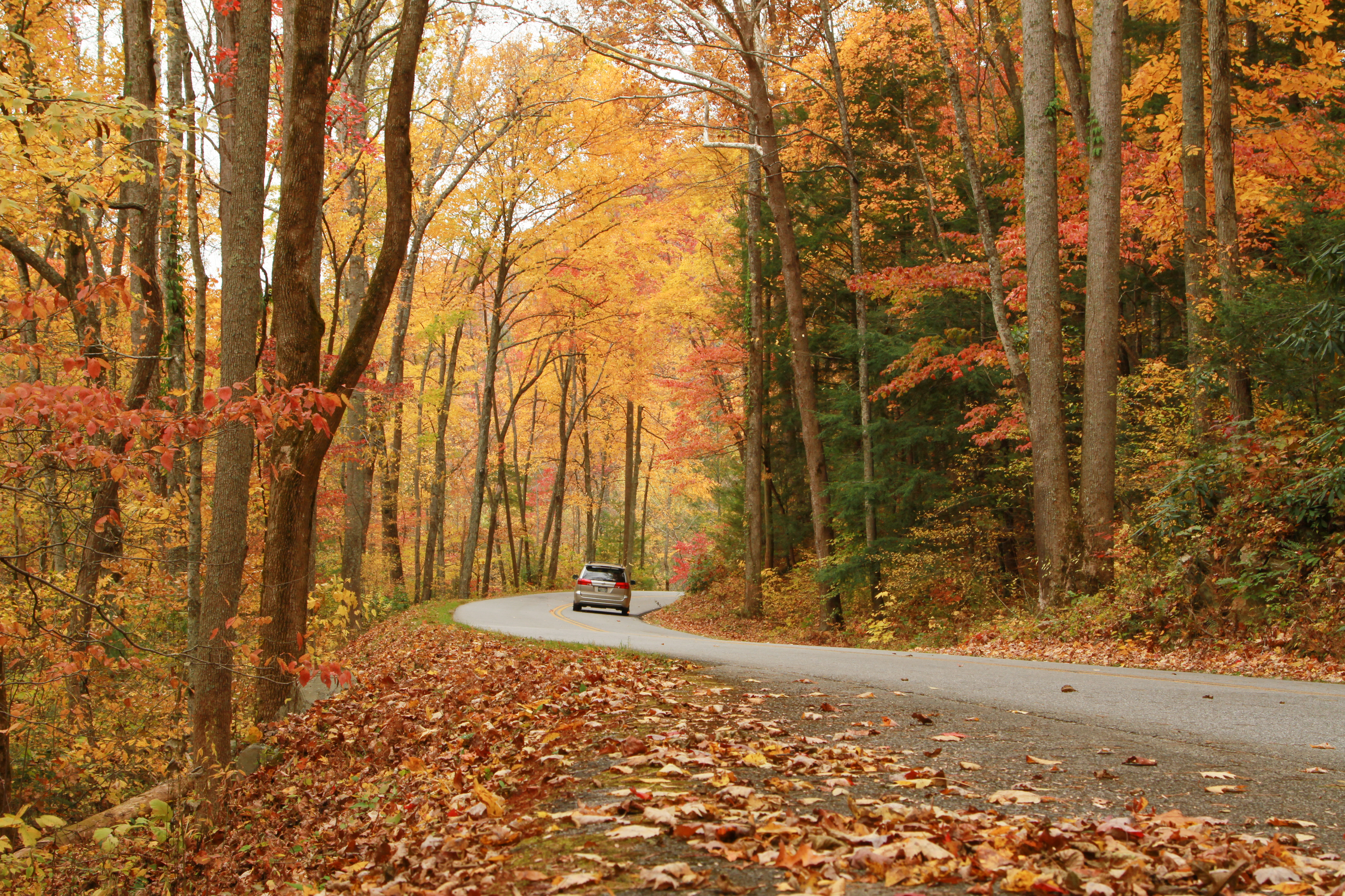 The image depicts a gray van driving on a curvy mountain road on a sunny autumn day. The trees are full of red, orange, and yellow leaves. The ground is covered in fall foliage.