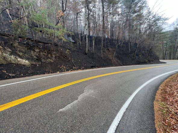 11.6.22 50-acre wildfire along Hwy 129 A burned area of forest along a paved roadway. The burned ground sloped and appears black and dark brown.